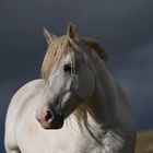 Campo Imperatore