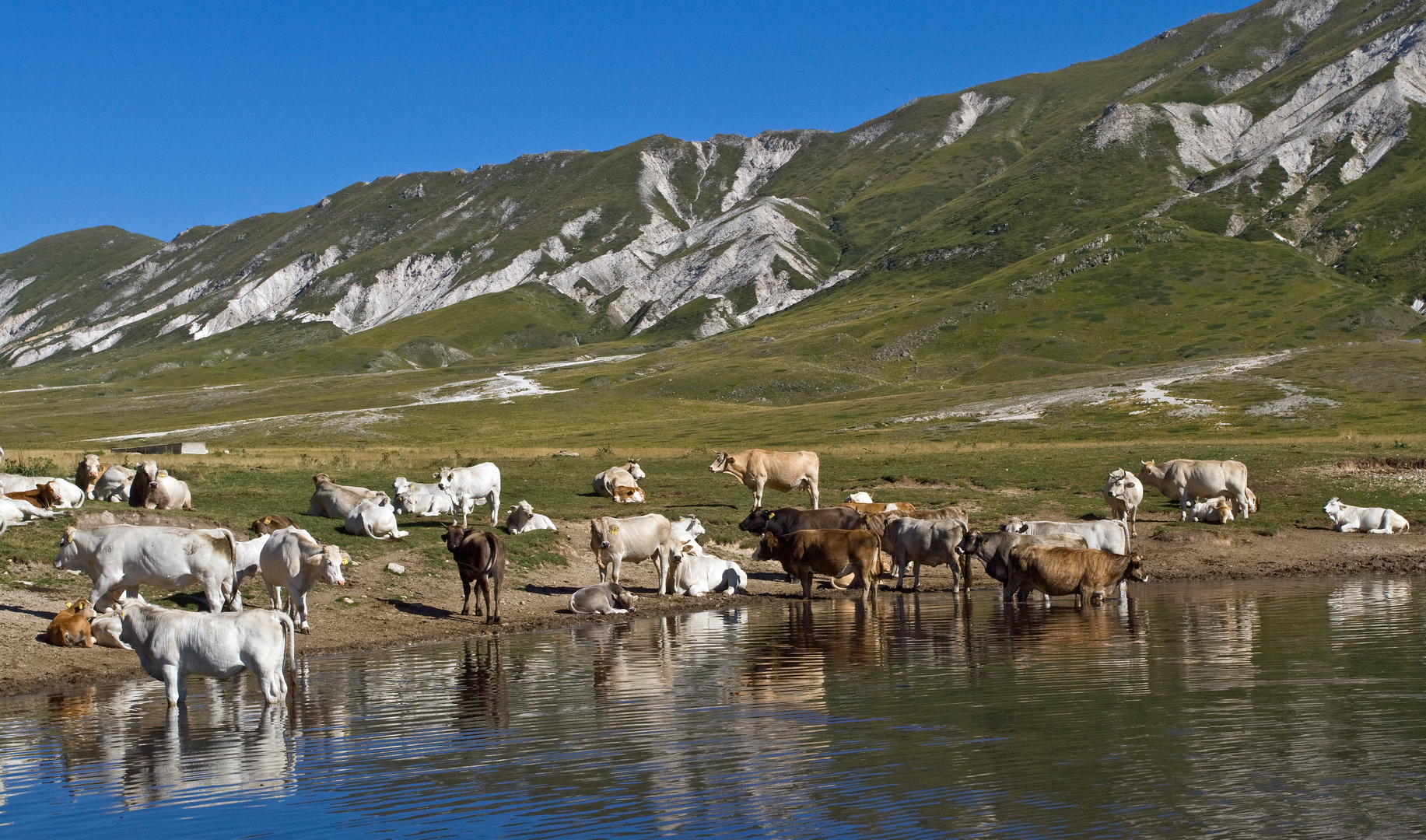 Campo Imperatore