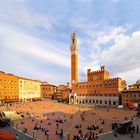 Campo in Siena