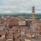 Campo in Siena mit torre della mangia