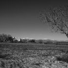 campo | Mallorca