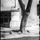 Campo San Francesco