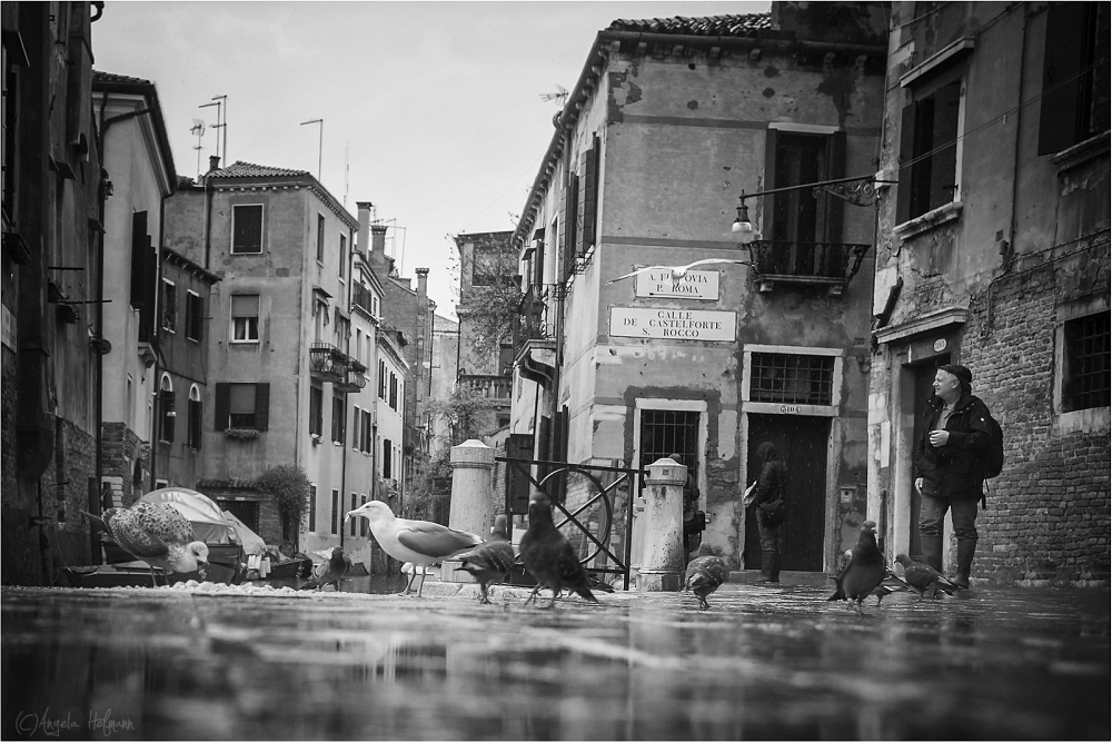 campo san pantalon