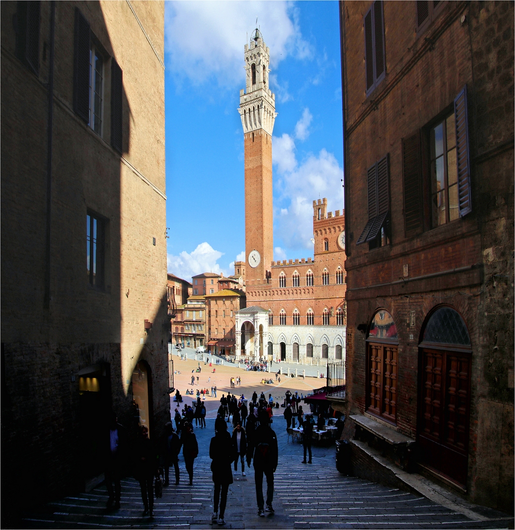 CAMPO SIENA