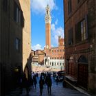 CAMPO SIENA