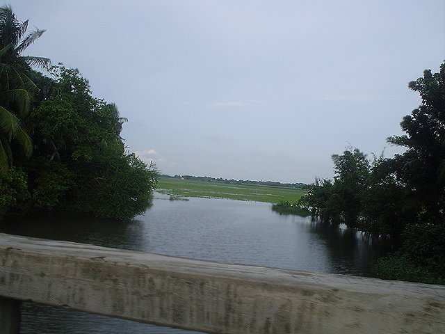 Campo sott'acqua