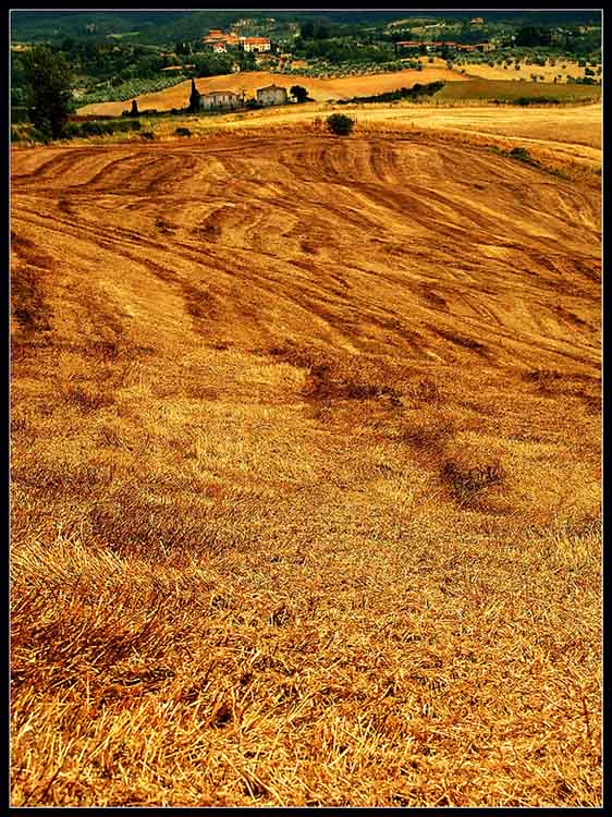 campo toscano