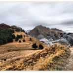 Campocecina     (Alpi Apuane)