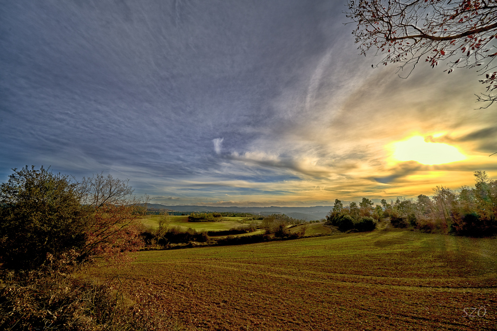 Campos al Atardecer