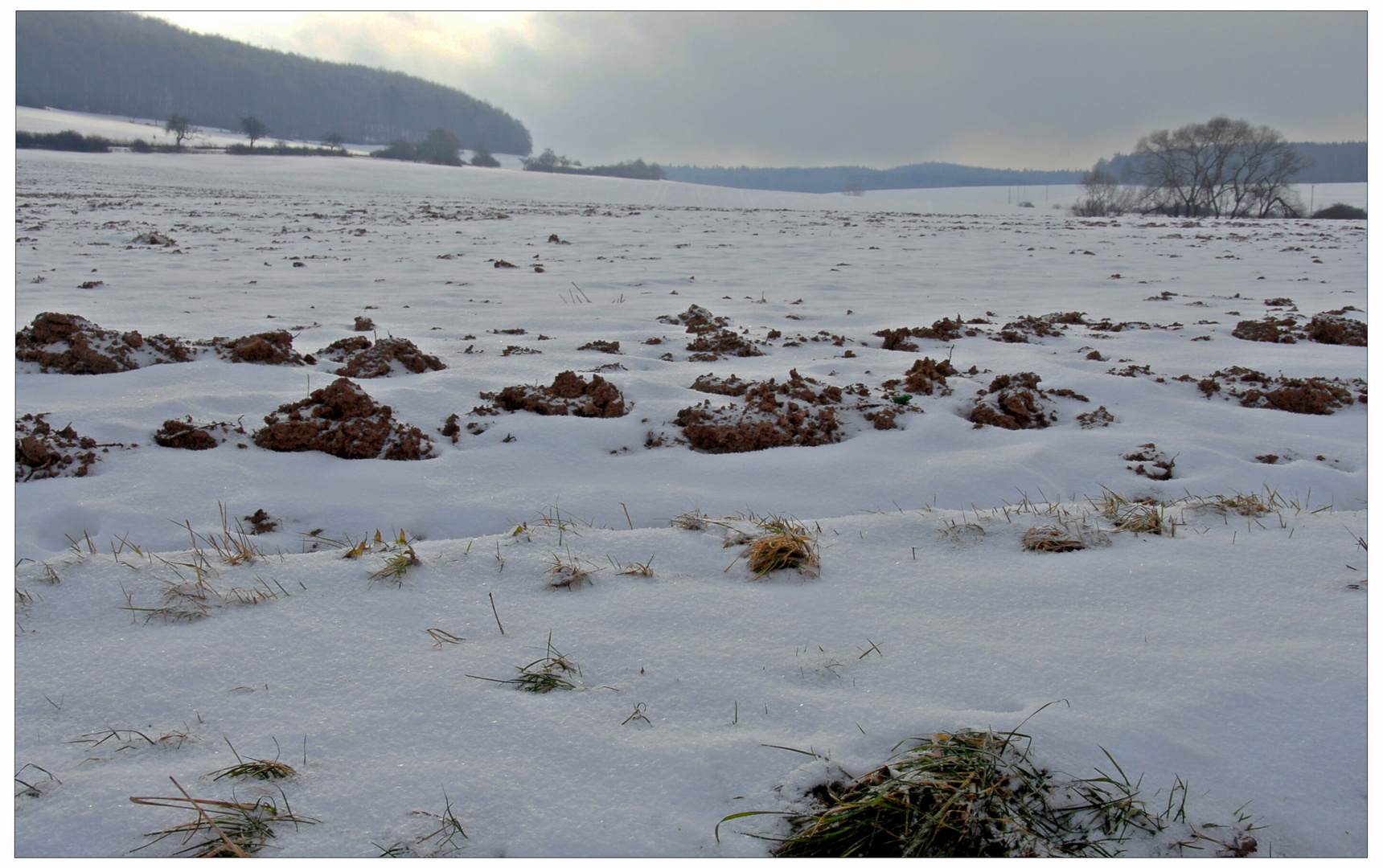Campos cubiertos de nieve (verschneite Felder)