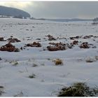 Campos cubiertos de nieve (verschneite Felder)