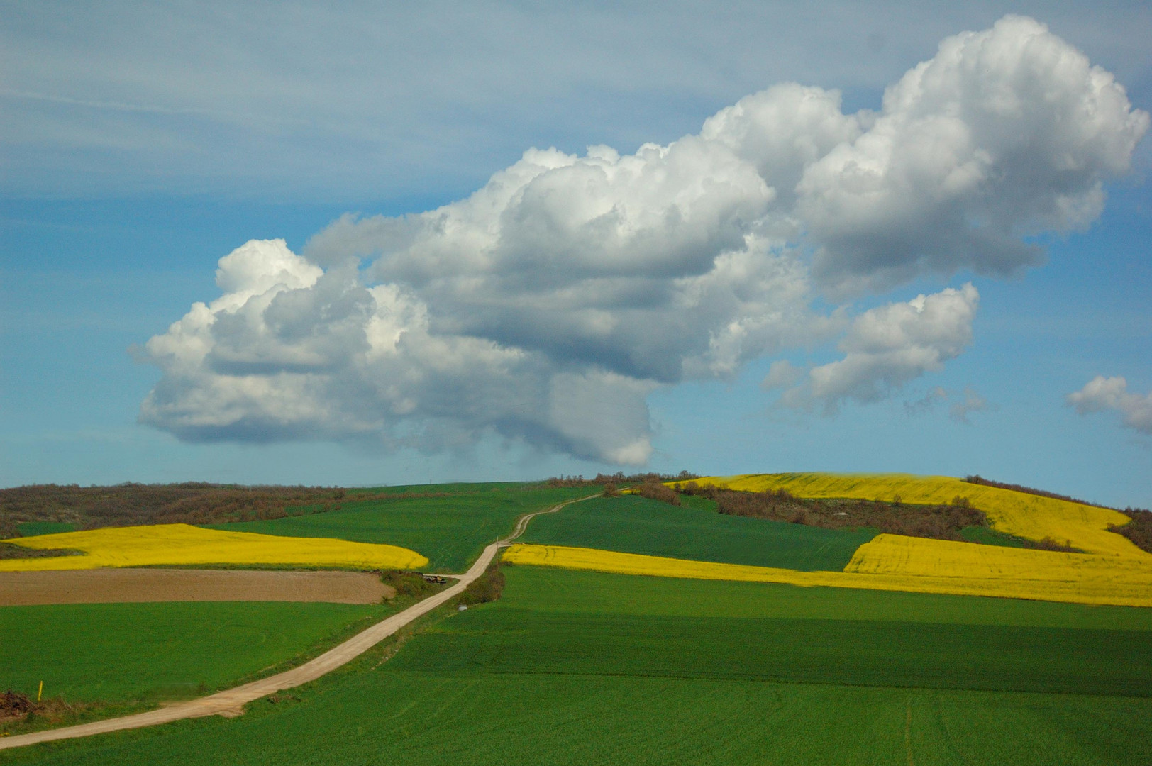 Campos de Amarita