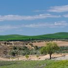 Campos de Andalucia