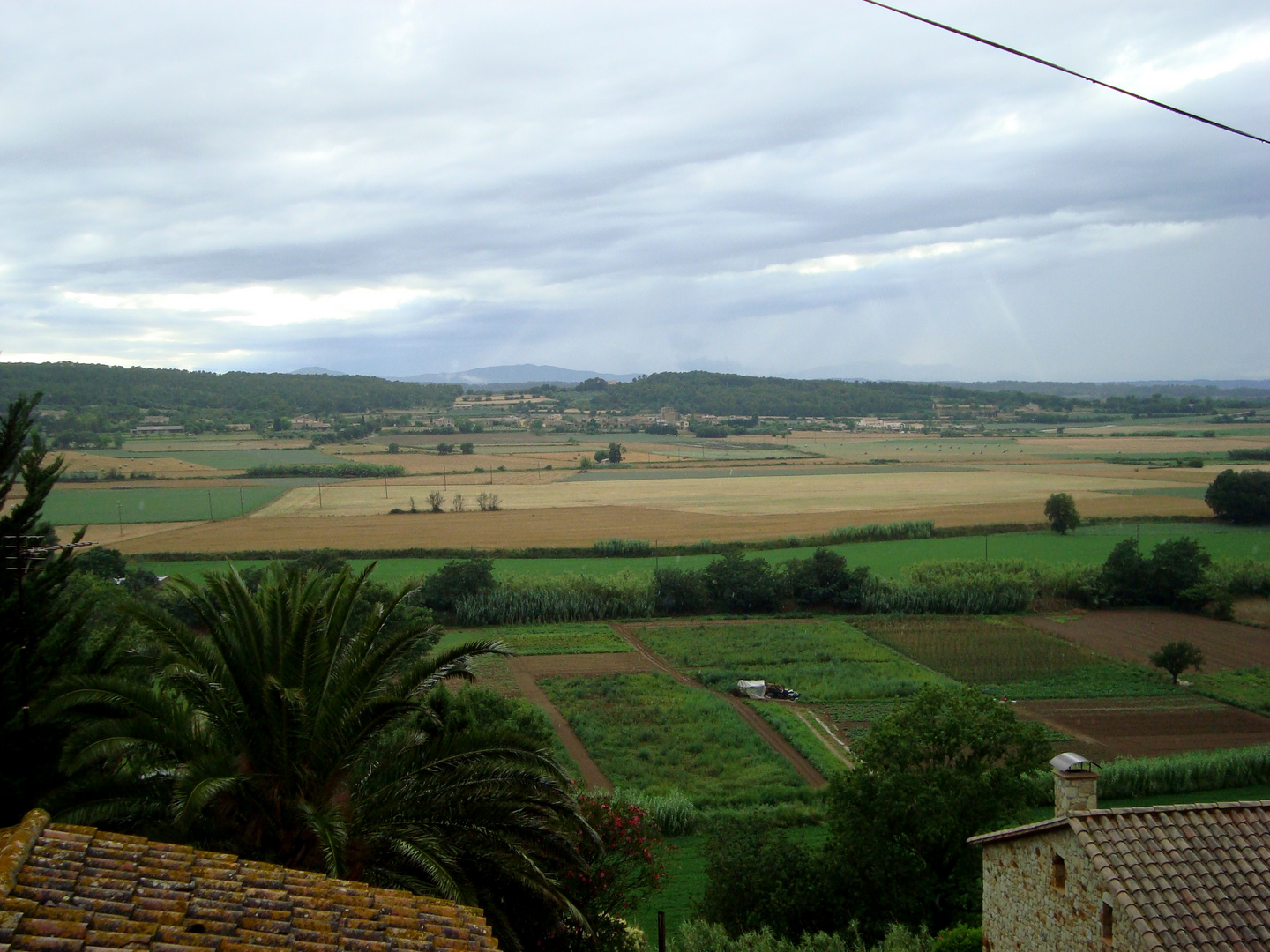 Campos de arroz de Pals