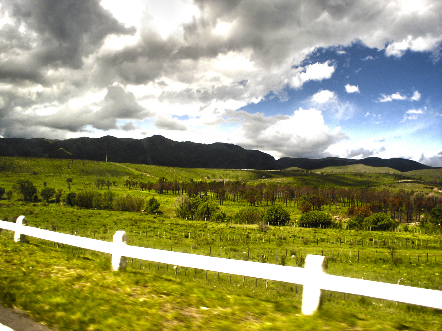 campos de Brasil