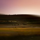 CAMPOS DE BURGOS II