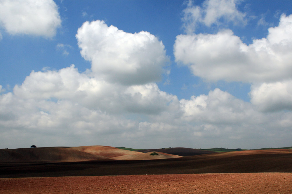 Campos de Cádiz