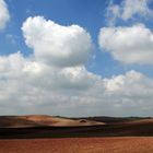 Campos de Cádiz