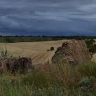 campos de Castila