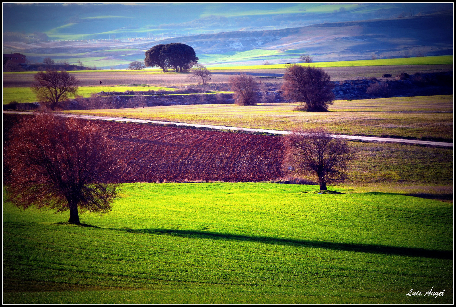 campos de castilla