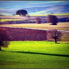 campos de castilla