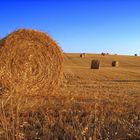 Campos de Castilla