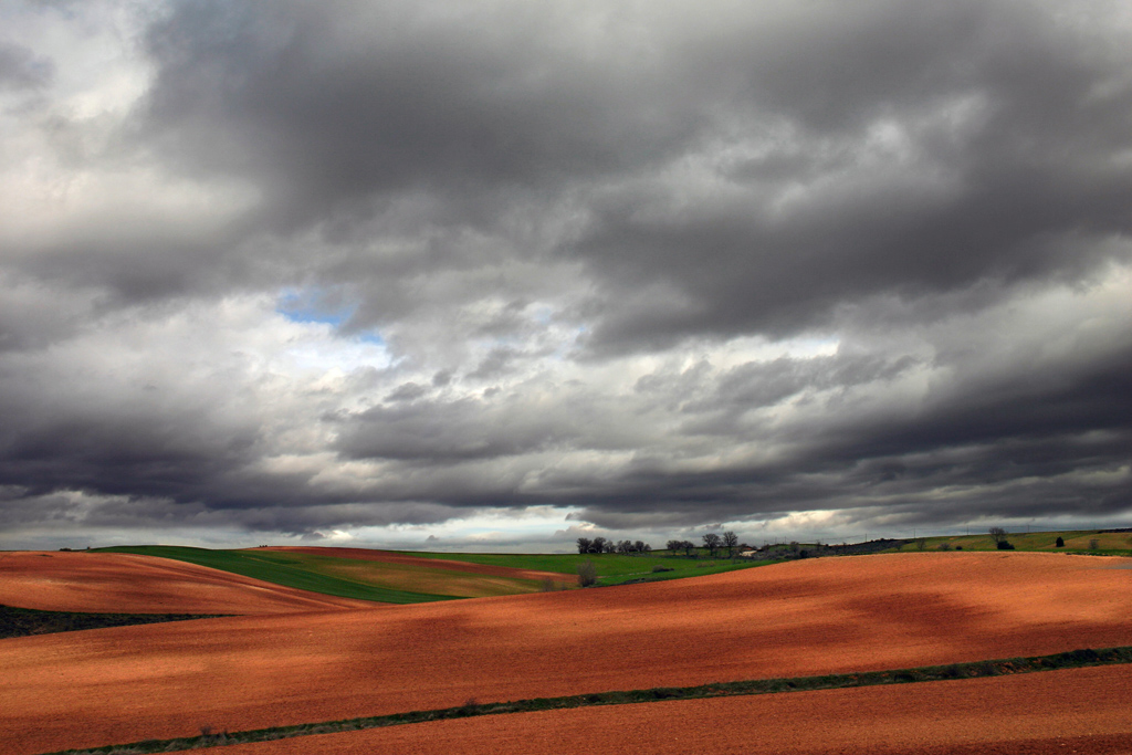 Campos de Castilla