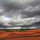 Campos de Castilla