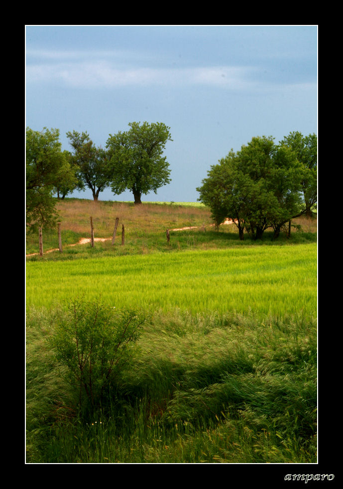 campos de castilla