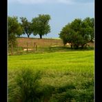 campos de castilla