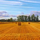 Campos de Castilla