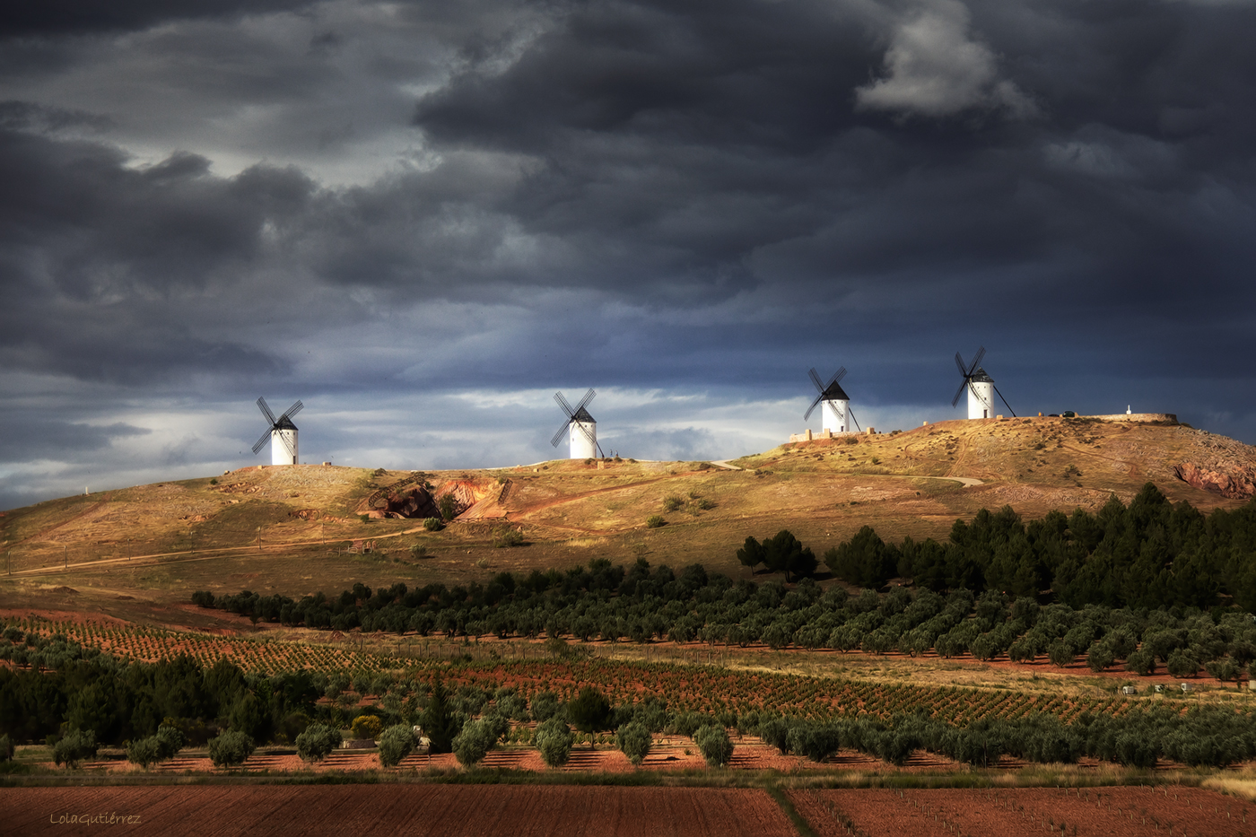 Campos de Castilla