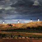 Campos de Castilla