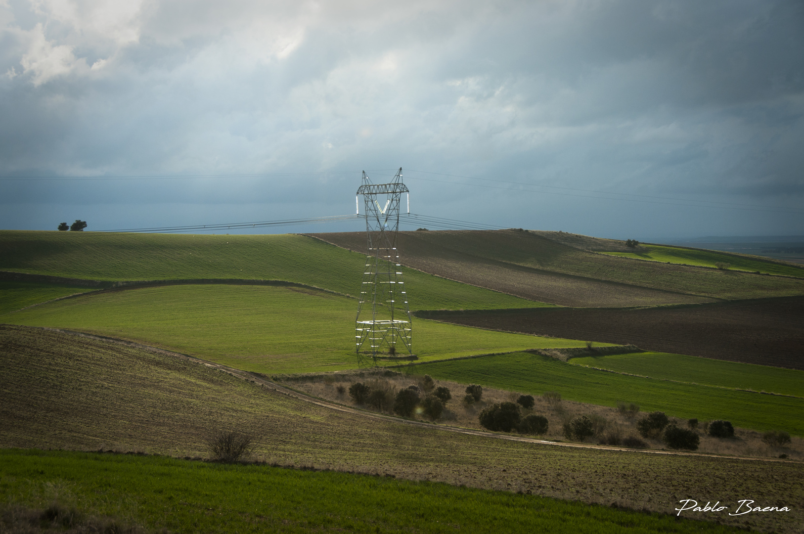 Campos de Castilla y León I