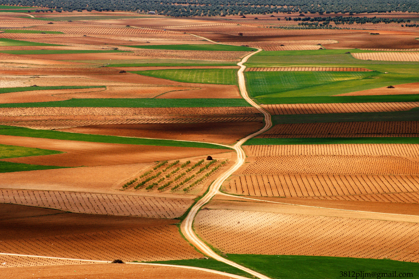 Campos de España....(1)