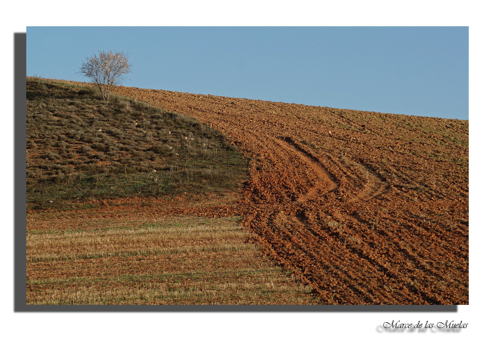 Campos de la Mancha... 3