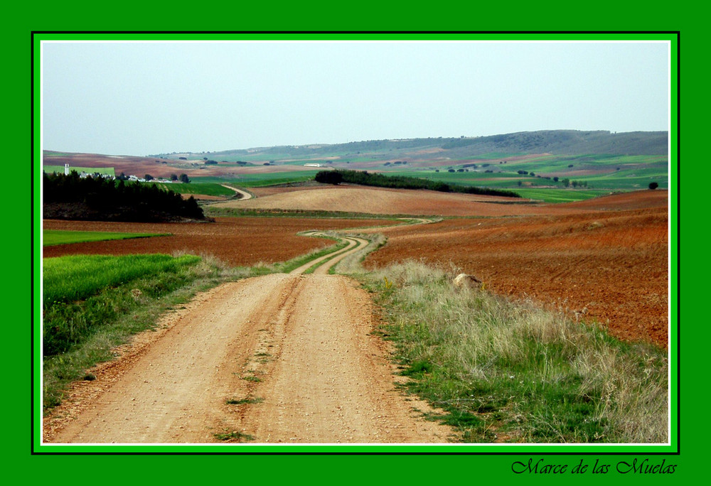 Campos de la Mancha (Cuenca)