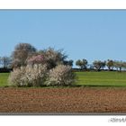 Campos de la Mancha...2