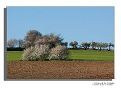 Campos de la Mancha...2