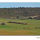 Campos de la Mancha...4