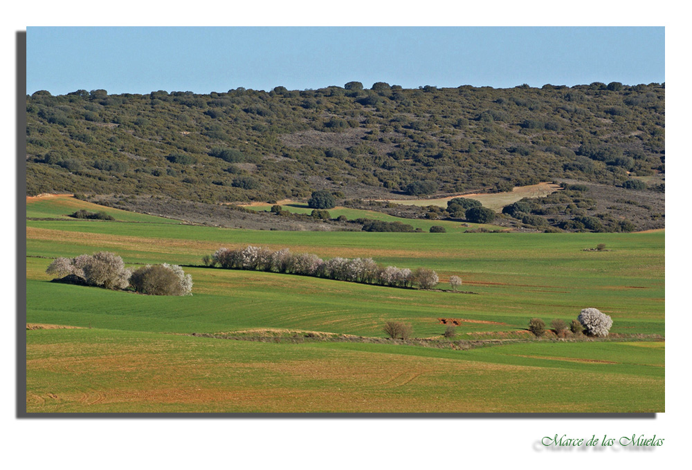 Campos de la Mancha...4