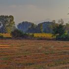 CAMPOS DE .......LA VALL DEL TENES.