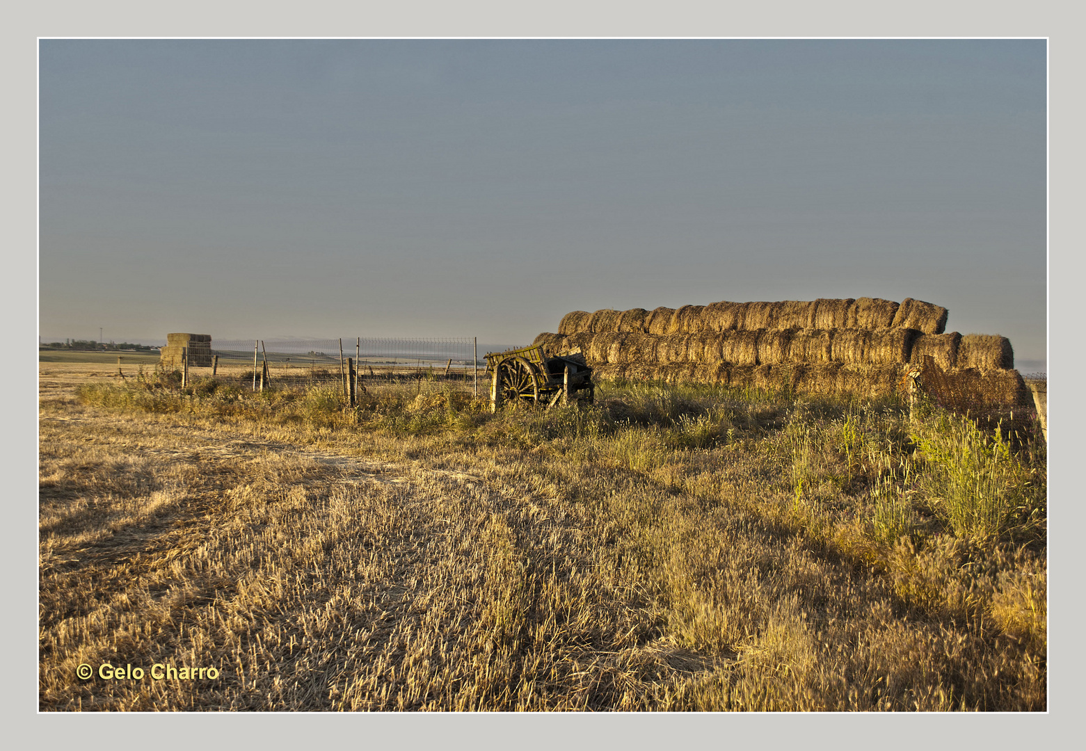 Campos de labor 2