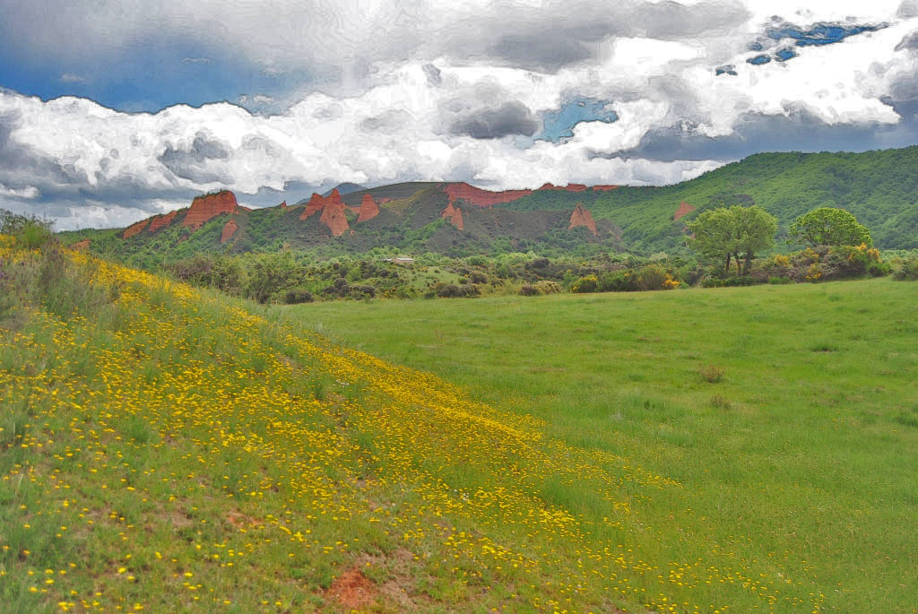 campos de mayo