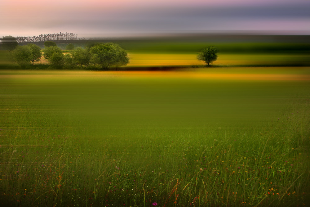 CAMPOS DE MI VALLE