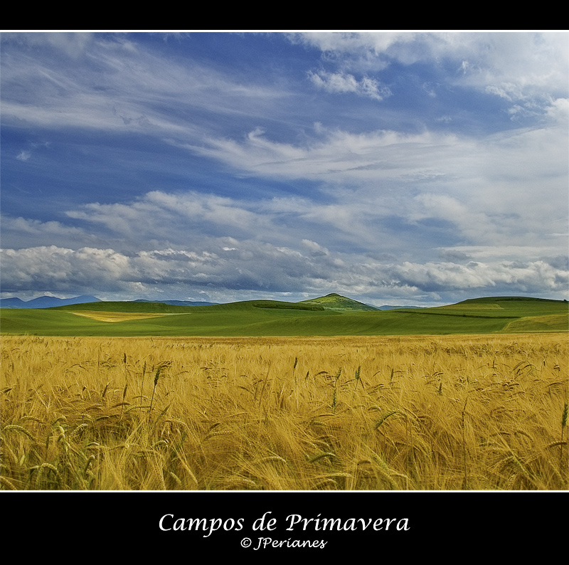 Campos de Primavera