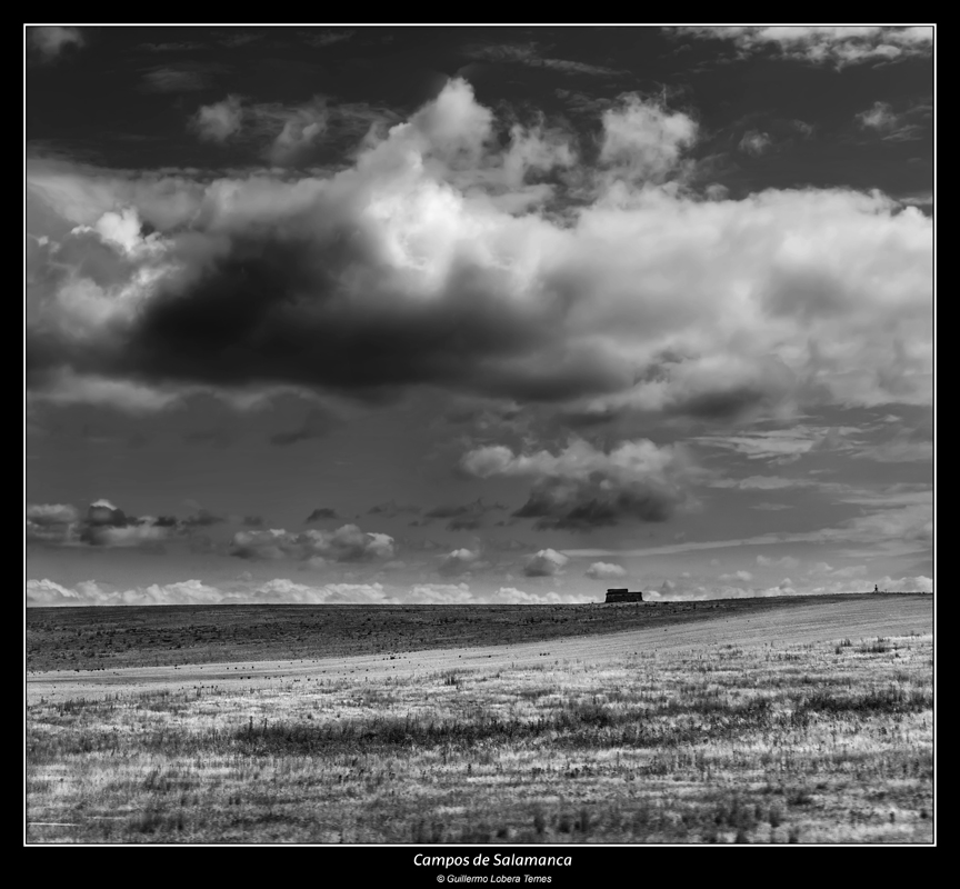 Campos de Salamanca