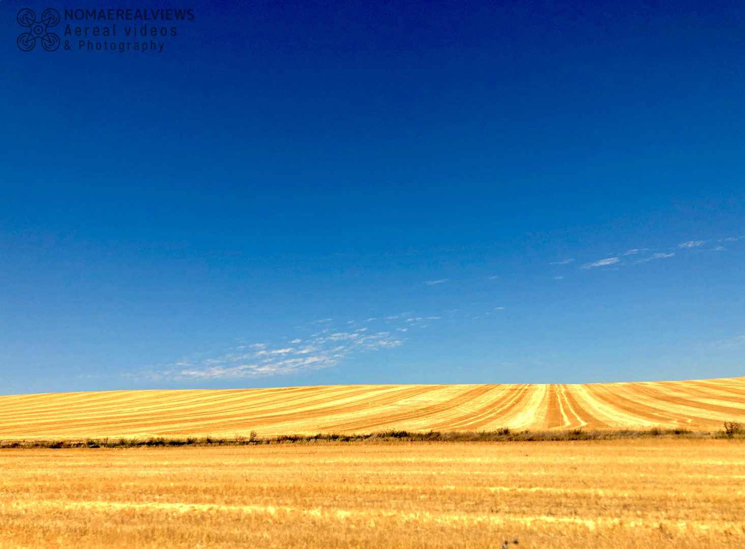 Campos de Siembra