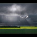 Campos de Soja en la Bretaña Francesa