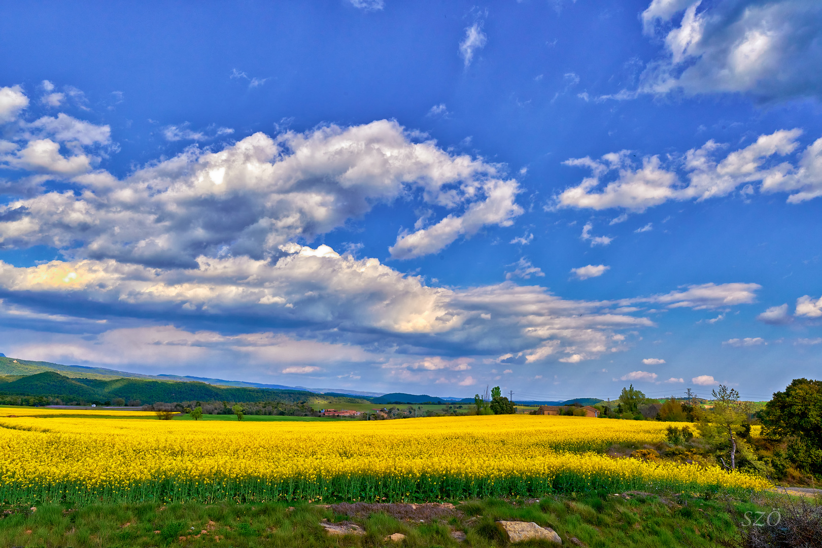 Campos de Solsona